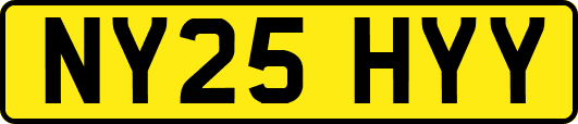 NY25HYY
