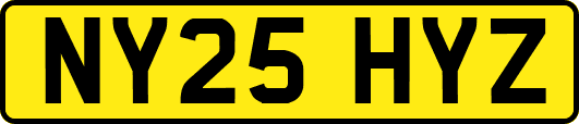 NY25HYZ