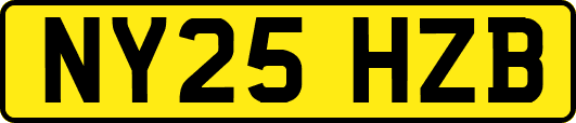 NY25HZB