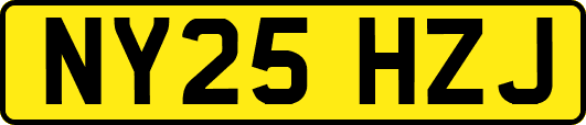 NY25HZJ