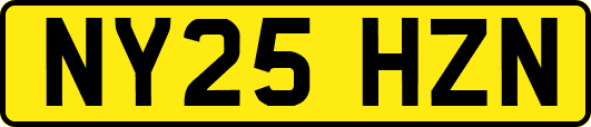 NY25HZN
