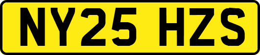 NY25HZS