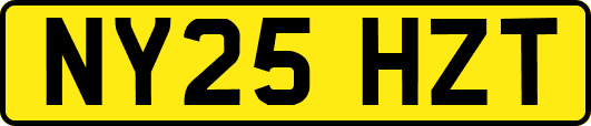NY25HZT