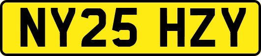 NY25HZY
