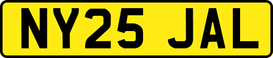 NY25JAL