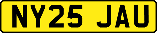 NY25JAU