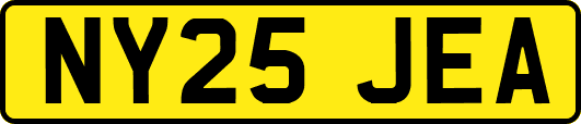 NY25JEA