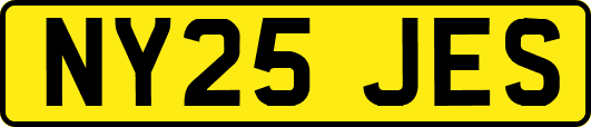 NY25JES