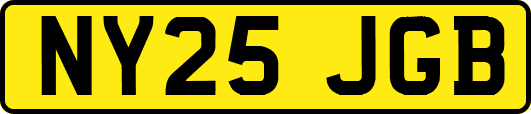 NY25JGB
