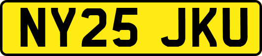 NY25JKU