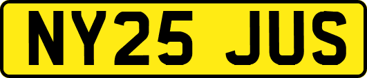 NY25JUS