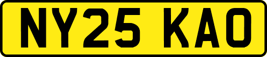 NY25KAO