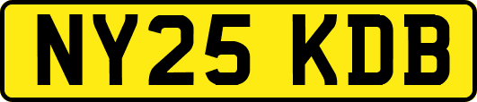 NY25KDB