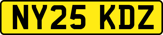 NY25KDZ