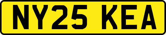 NY25KEA