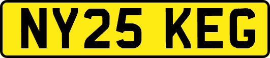 NY25KEG