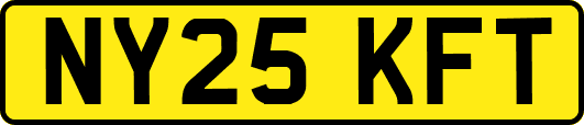 NY25KFT