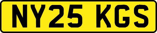 NY25KGS
