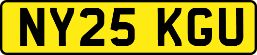 NY25KGU