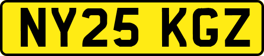 NY25KGZ