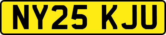 NY25KJU