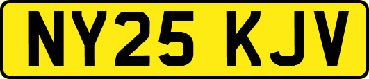 NY25KJV
