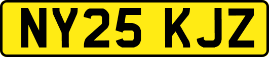 NY25KJZ
