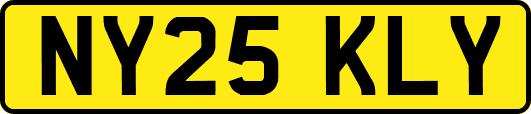 NY25KLY