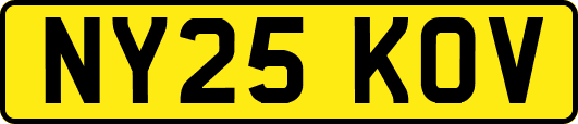 NY25KOV