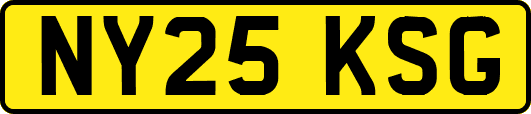 NY25KSG