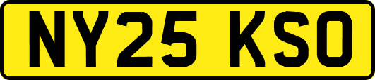 NY25KSO