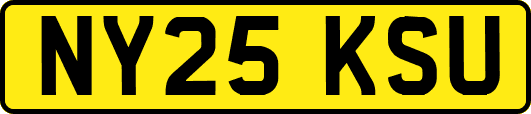 NY25KSU