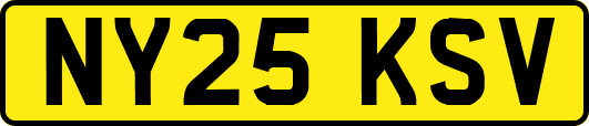 NY25KSV