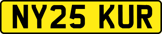 NY25KUR