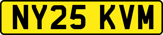 NY25KVM