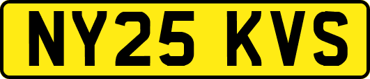 NY25KVS
