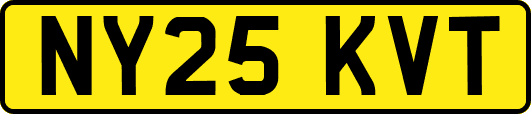 NY25KVT