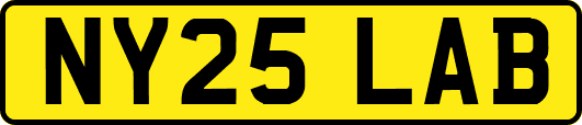 NY25LAB
