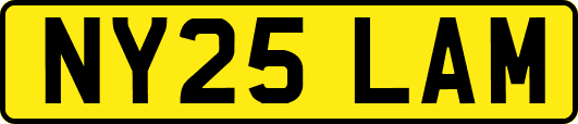NY25LAM