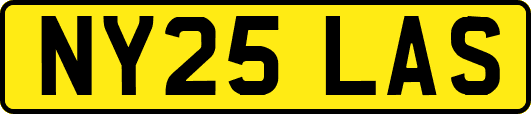 NY25LAS