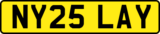 NY25LAY