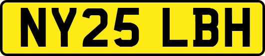 NY25LBH