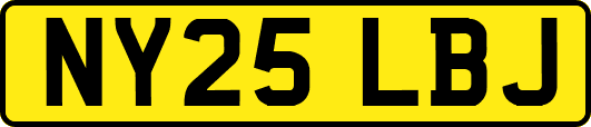 NY25LBJ