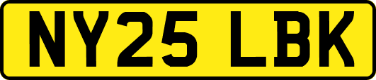 NY25LBK