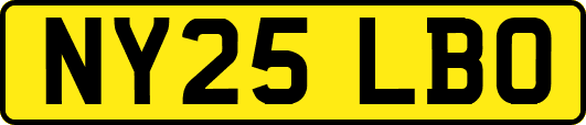 NY25LBO
