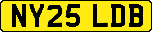 NY25LDB