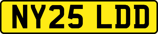 NY25LDD
