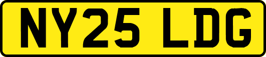NY25LDG