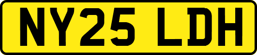 NY25LDH