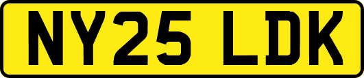 NY25LDK